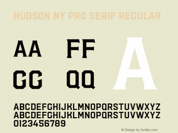 Hudson NY Pro Serif Regular Version 1.080图片样张