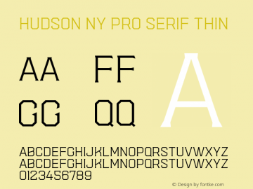 Hudson NY Pro Serif Thin Version 1.080图片样张