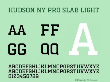 Hudson NY Pro Slab Light Version 1.055图片样张