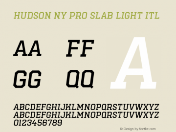 Hudson NY Pro Slab Light Itl Version 1.055图片样张