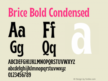 Brice Bold Condensed Version 1.000;Glyphs 3.1.1 (3142)图片样张