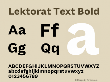 Lektorat Text Bold Version 1.001图片样张