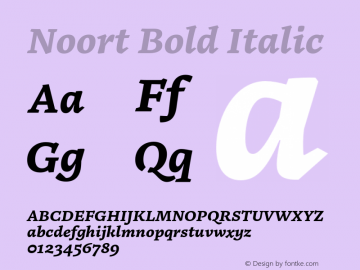 Noort Bold Italic Version 1.001;PS 1.0;hotconv 16.6.51;makeotf.lib2.5.65220图片样张
