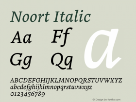 Noort Italic Version 1.001;PS 1.0;hotconv 16.6.51;makeotf.lib2.5.65220图片样张