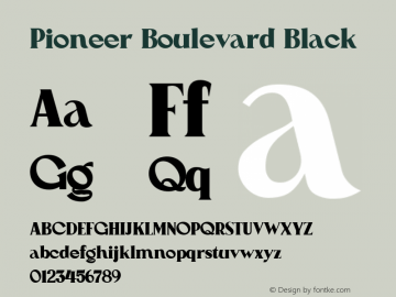Pioneer Boulevard Black Version 1.000图片样张
