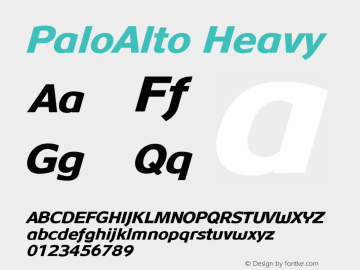 PaloAlto Italic Version 006.000图片样张