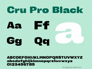 Cru Pro Black Version 1.001图片样张