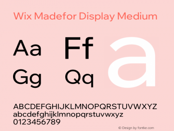 Wix Madefor Display Medium Version 1.200图片样张