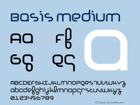 Basis Medium 001.000图片样张