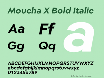 Moucha X Bold Italic Version 1.000图片样张