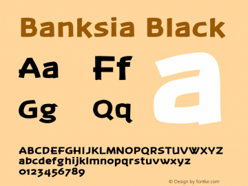 Banksia  Black Altsys Fontographer 4.0 9/5/2001图片样张