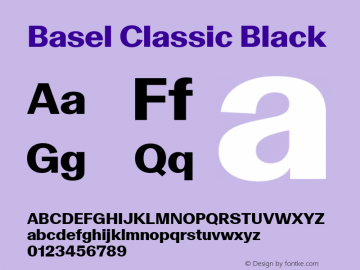 Basel Classic Black Version 1.005图片样张