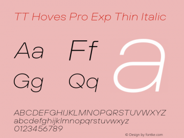 TT Hoves Pro Exp Thin Italic Version 3.100.24032023图片样张