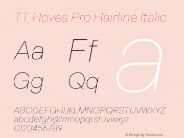 TT Hoves Pro Hairline Italic Version 3.100.24032023图片样张