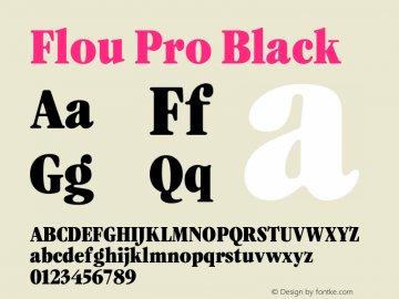 Flou Pro Black Version 1.001图片样张