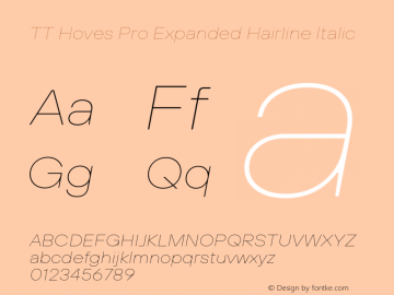 TT Hoves Pro Expanded Hairline Italic Version 3.000.17052022图片样张