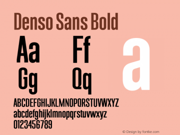 Denso Sans Bold Version 1.000;hotconv 1.0.109;makeotfexe 2.5.65596图片样张