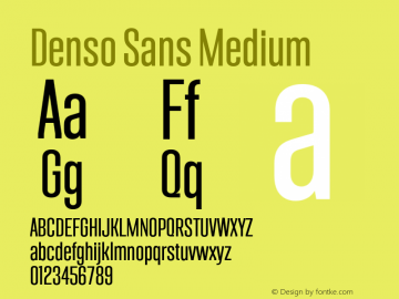 Denso Sans Medium Version 1.000;hotconv 1.0.109;makeotfexe 2.5.65596图片样张