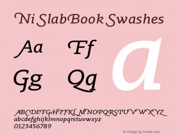 Ni Slab Book Swashes Version 1.000;PS 001.000;hotconv 1.0.88;makeotf.lib2.5.64775图片样张