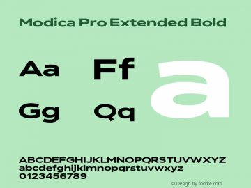 Modica Pro Extended Bold Version 1.000;Glyphs 3.1.2 (3151)图片样张