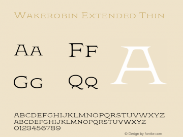 Wakerobin Extended Thin Version 1.00图片样张