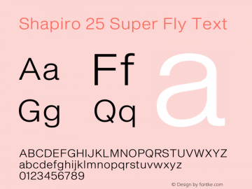 Shapiro 25 Super Fly Text Version 2.000;PS 002.000;hotconv 1.0.88;makeotf.lib2.5.64775图片样张