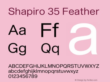 Shapiro 35 Feather Version 2.000;PS 002.000;hotconv 1.0.88;makeotf.lib2.5.64775图片样张