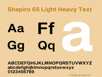 Shapiro 65 Light Heavy Text Version 2.000;PS 002.000;hotconv 1.0.88;makeotf.lib2.5.64775图片样张