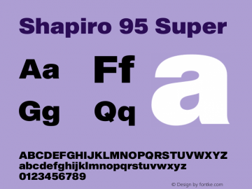 Shapiro 95 Super Version 2.000;PS 002.000;hotconv 1.0.88;makeotf.lib2.5.64775图片样张