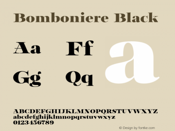 Bomboniere Black Version 1.000 (2023-03-16) | FøM Fix图片样张