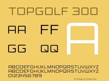 Topgolf 300 Version 1.000;hotconv 1.0.109;makeotfexe 2.5.65596图片样张