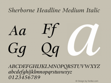 Sherborne Headline Medium Italic Version 1.003;FEAKit 1.0图片样张