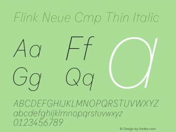 Flink Neue Cmp Thin Italic Version 2.100;Glyphs 3.1.2 (3150)图片样张