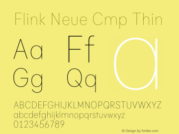 Flink Neue Cmp Thin Version 2.100;Glyphs 3.1.2 (3150)图片样张