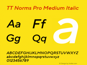 TT Norms Pro Medium Italic Version 3.100.06032023图片样张