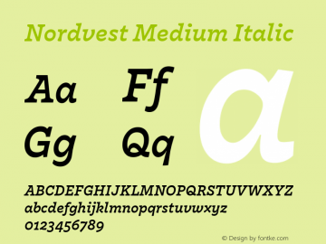 Nordvest Medium Italic Version 2.001图片样张