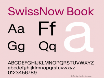 SwissNow Book Version 1.000图片样张