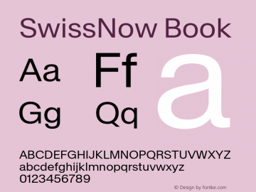 SwissNow-Book Version 1.000图片样张