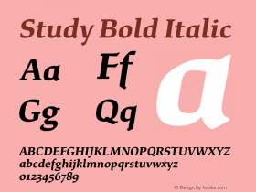 Study Bold Italic Version 1.020;hotconv 1.0.109;makeotfexe 2.5.65596图片样张