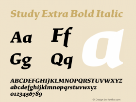 Study Extra Bold Italic Version 1.020;hotconv 1.0.109;makeotfexe 2.5.65596图片样张