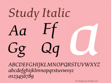 Study Italic Version 1.020;hotconv 1.0.109;makeotfexe 2.5.65596图片样张