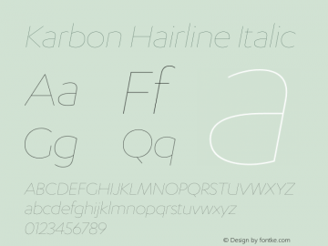 Karbon Hairline Italic Version 20.260图片样张