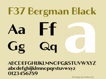 F37 Bergman Black Version 3.000图片样张
