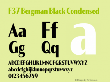 F37 Bergman Black Condensed Version 3.000图片样张