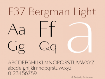 F37 Bergman Light Version 3.000图片样张