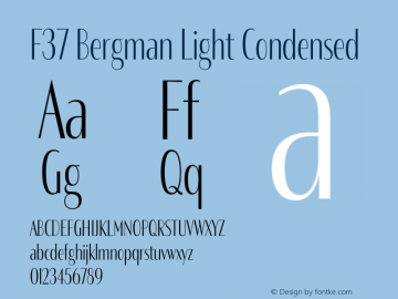 F37 Bergman Light Condensed Version 3.000图片样张