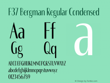 F37 Bergman Regular Condensed Version 3.000图片样张