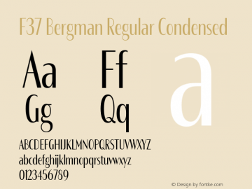 F37 Bergman Regular Condensed Version 3.000图片样张