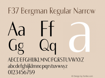 F37 Bergman Regular Narrow Version 3.000图片样张