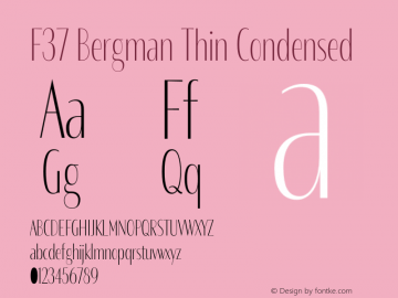 F37 Bergman Thin Condensed Version 3.000图片样张